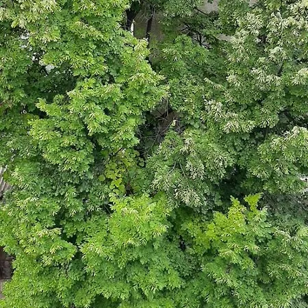 гнездото на пътешественика Apartmán *