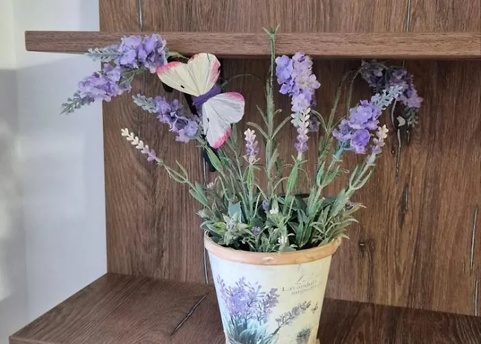 гнездото на пътешественика Apartment Dobritsch