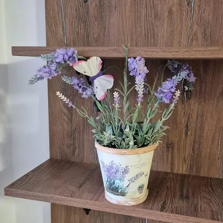 гнездото на пътешественика Appartement Dobritch