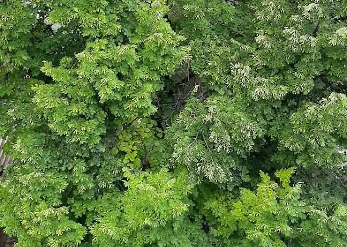 гнездото на пътешественика Апартамент *